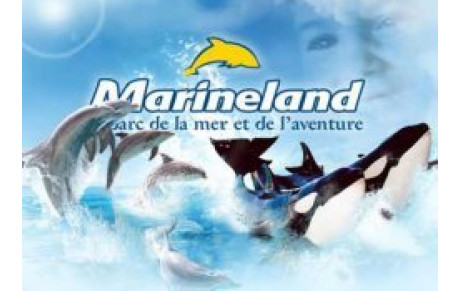INFO SORTIE MARINELAND: MARDI 17 AVRIL 2012