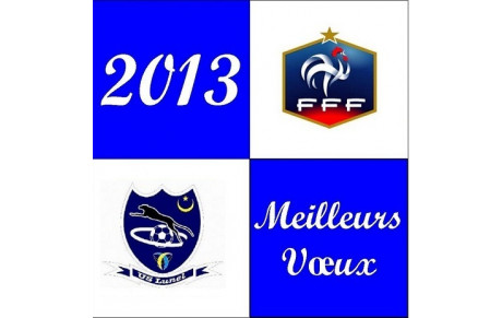 MEILLEURS VOEUX 2013 !